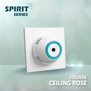 Square Ceiling Rose