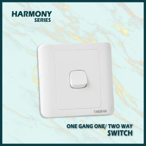 Gang Switch