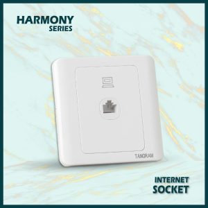 internet socket