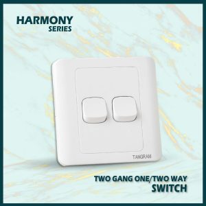 2 Gang switch