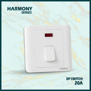DP switch